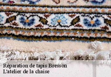 Réparation de tapis  bresson-38320 L'atelier de la chaise