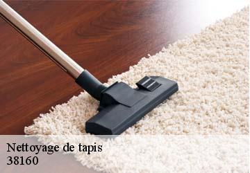 Nettoyage de tapis  bessins-38160 L'atelier de la chaise