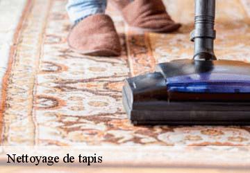 Nettoyage de tapis  bessins-38160 L'atelier de la chaise