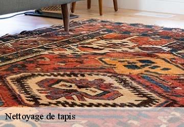 Nettoyage de tapis  bessins-38160 L'atelier de la chaise