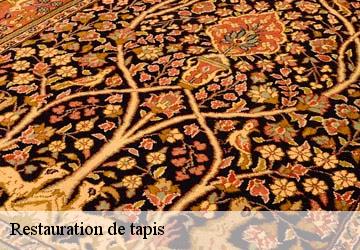 Restauration de tapis  chelieu-38730 L'atelier de la chaise